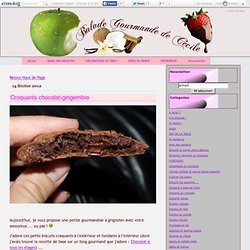 Croquants chocolat-gingembre - Balade Gourmande de Cécile