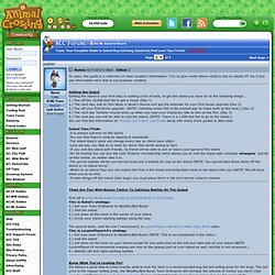 Animal Crossing Community: Your Complete Guide to Island Bug Catching [Updated] Post your Tips/Tricks!