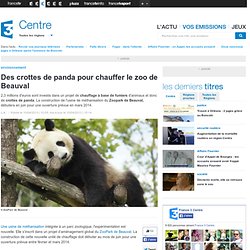 Des crottes de panda pour chauffer le zoo de Beauval