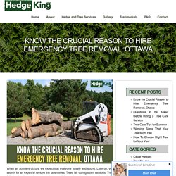 Know the Crucial Reason to Hire Emergency Tree Removal, Ottawa