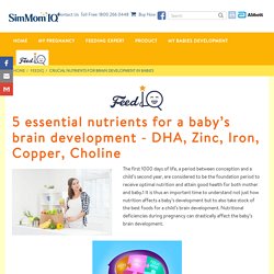 5 Essential Nutrients for a Baby’s Brain Development