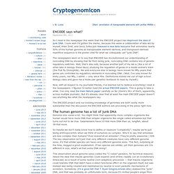 Cryptogenomicon » ENCODE says what?
