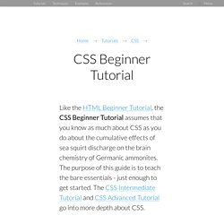 CSS Beginner Tutorial