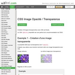 CSS Image Opacité / Transparence
