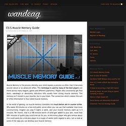 CSS Muscle Memory Guide