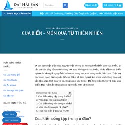 CUA BIỂN – MÓN QUÀ TỪ THIÊN NHIÊN ⋆ Đại Hải Sản