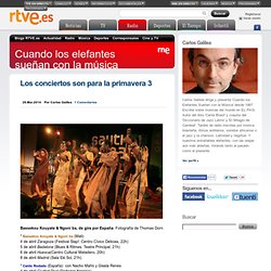 Cuando los elefantes sueñan con la música