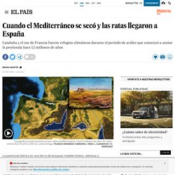 Cuando el Mediterráneo se secó y las ratas llegaron a España
