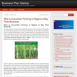 Why is Cucumber Farming In Nigeria A Big Time Business
