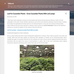 Led For Cucumber Plants - Grow Cucumber Plants With Led Lamps