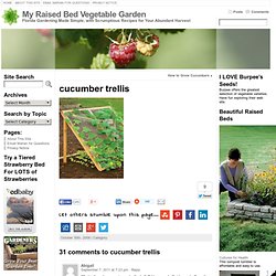 How to Grow Cucumbers cucumber trellis – My Raised Bed Vegetable Garden