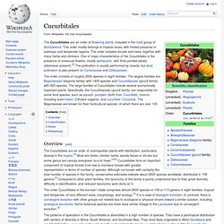 Cucurbitales