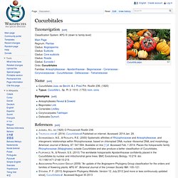 Cucurbitales