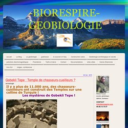 Gobekli Tepe : Temple de chasseurs-cueilleurs ? - Biorespire Géobiologie