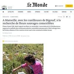 A Marseille, avec les cueilleuses de Bigoud’, à la recherche de fleurs sauvages comestibles