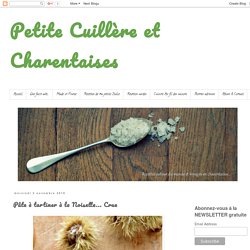 Petite Cuillère et Charentaises: Pâte à tartiner à la Noisette... Crue