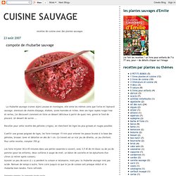 compote de rhubarbe sauvage