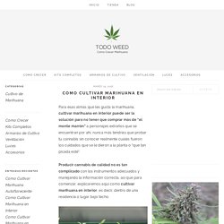 Como Cultivar Marihuana en Interior - TodoWeed.com
