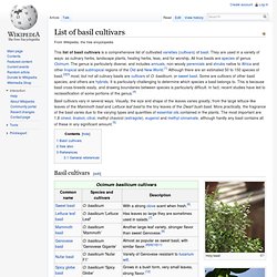 List of basil cultivars
