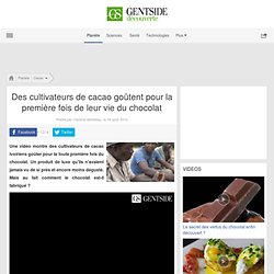 Des cultivateurs de cacao goûtent pour la première fois de leur vie du chocolat