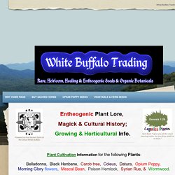 Plant Lore & Cultivation Info -                      White Buffalo Trading                 &nbsp