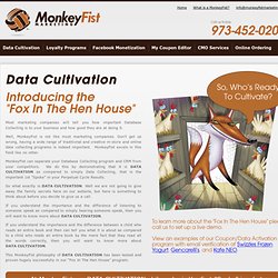 Data Cultivation - MonkeyFist Marketing