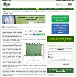 Algae Cultivation - Tubular Photobioreactor - Oilgae - Oil from Algae