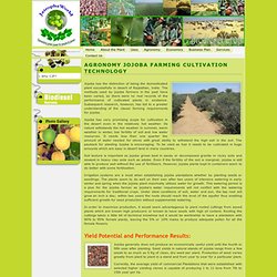 Agronomy- Jojoba Farming Cultivation Technology,Jojoba Plant cultivation,Organic Jojoba plantation India