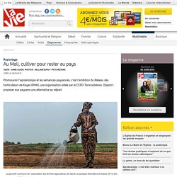 Au Mali, cultiver pour rester au pays - Diaporamas