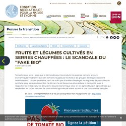 FONDATION NATURE HOMME 29/05/19 FRUITS ET LÉGUMES CULTIVÉS EN SERRES CHAUFFÉES : LE SCANDALE DU “FAKE BIO”