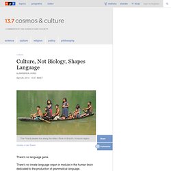 Culture, Not Biology, Shapes Human Language : 13.7: Cosmos And Culture