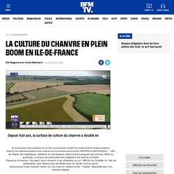 BFMTV 21/10/19 La culture du chanvre en plein boom en Ile-de-France