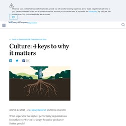 Culture: 4 keys to why it matters