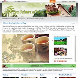 The Tea Culture of Wuyi Mountain, CNTV English