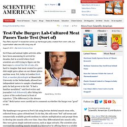 Test-Tube Burger: Lab-Cultured Meat Passes Taste Test (Sort of)