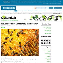 We, the colony: Democracy, the bee way