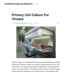 Primary Cell Culture For Viruses
