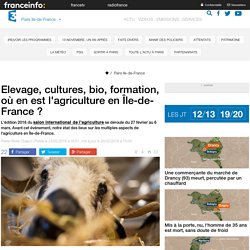 FRANCE 3 PARIS 23/02/16 Elevage, cultures, bio, formation, où en est l'agriculture en Île-de-France ?