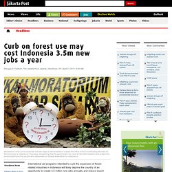 Curb on forest use may cost Indonesia 3.5m new jobs a year