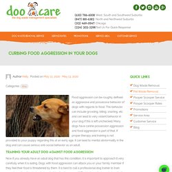 Curbing Food Aggression in Your Dogs