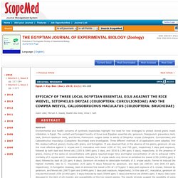 SCOPEMED - 2015 - EFFICACY OF THREE LOCAL EGYPTIAN ESSENTIAL OILS AGAINST THE RICE WEEVIL, SITOPHILUS ORYZAE (COLEOPTERA: CURCULIONIDAE) AND THE COWPEA WEEVIL, CALLOSOBRUCHUS MACULATUS (COLEOPTERA: BRUCHIDAE)