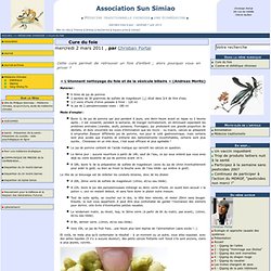 Cure du foie - Association Sun Simiao