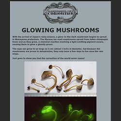 Glowing Mushrooms