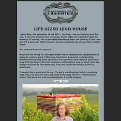 Life-Sized Lego House