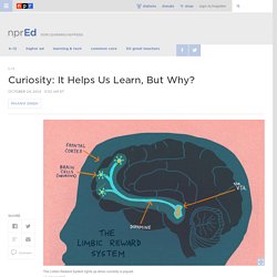 Curiosity: It Helps Us Learn, But Why? : NPR Ed