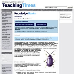 A series of cross curriculum project plans to support the creative teaching of the minibeasts topic for Foundation Stage and Key Stages 1, 2 and beyond. – Knowledge Banks – Imaginative Minds