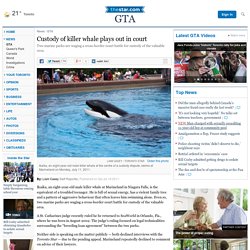 Custody of killer whale plays out in court
