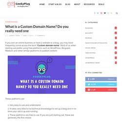 What is a Custom Domain Name? Do you really need one - GeekyPlug