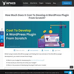 Custom WordPress Plugin Development Cost in 2021