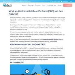 What are Customer Database Platforms(CDP) and their features?